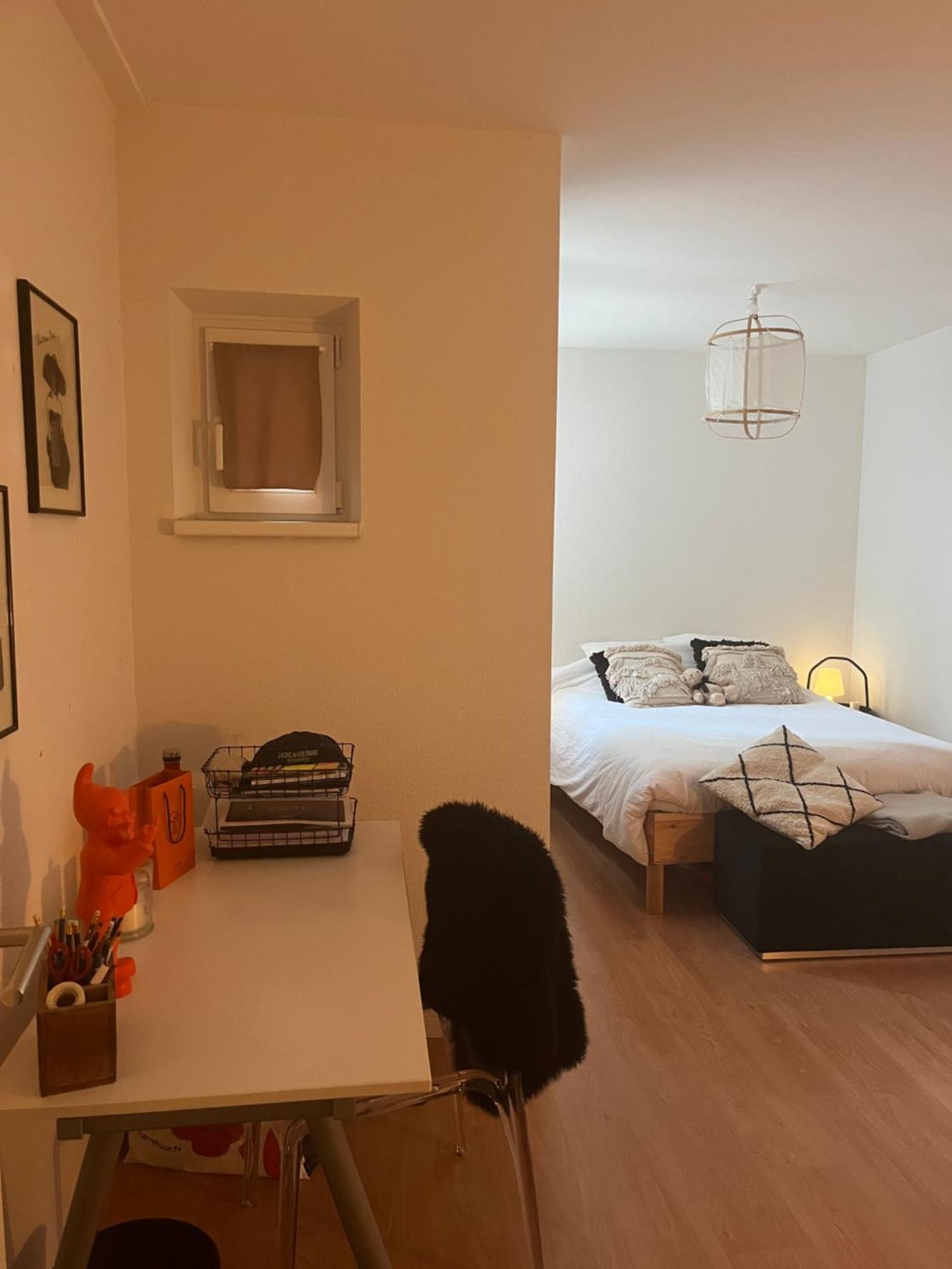 Joli Appartement Au Coeur De Strasbourg Luaran gambar